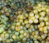 "Массандра" готова увеличить выпуск вина на 71% в 2015 году