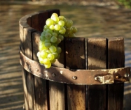 На этикетках вин в России будут указывать страну происхождения виноматериала