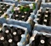 Сенаторы поддержали введение лицензирования пива