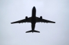 Турецкие Авиалинии не будут подавать алкоголь на внутренних рейсах