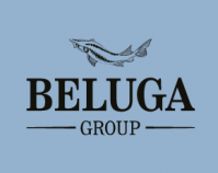 Крупнейший оператор российского алкогольного рынка – компания Beluga Group - опубликовал отчет о своей деятельности за первое полугодие текущего года.