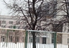 Российским школам разрешат исключать учеников за пьянство