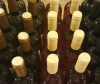 На Кубани будет создана программа по сохранению госколлекции элитных вин